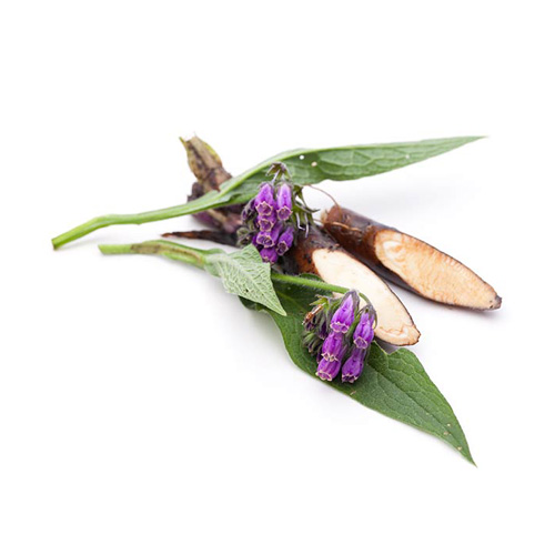 allantoin