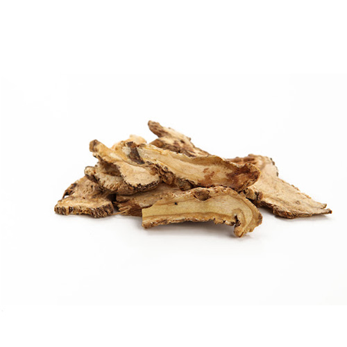 angelica root extracts