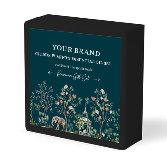 citrus minty essential oil set
