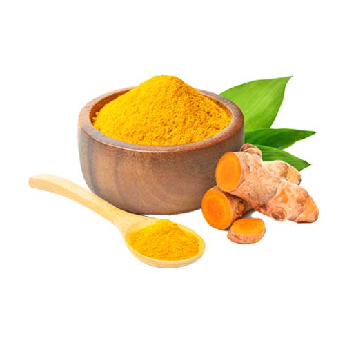 curcuma longa turmeric root extrac