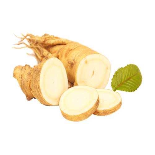 ginseng 1
