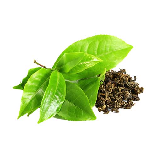 green tea