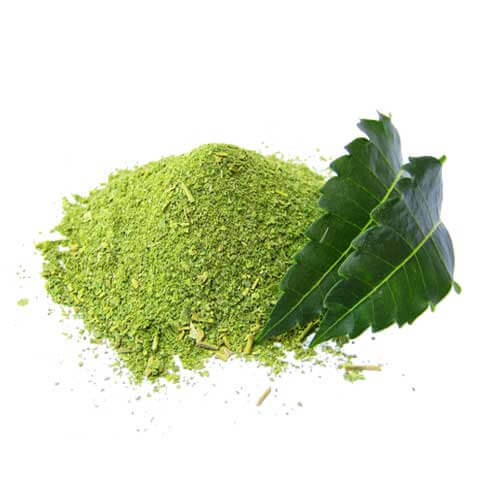 melia azadirachtaneem leaf extract