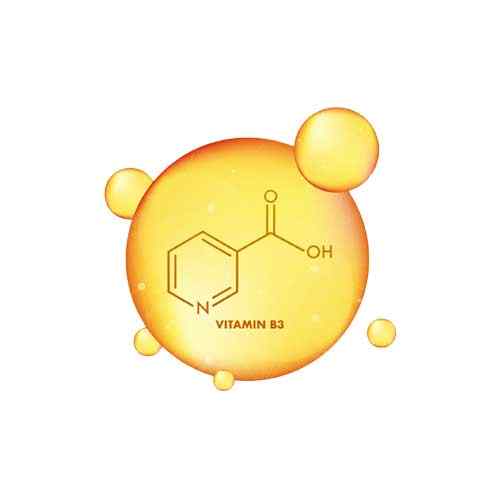 niacinamide icon