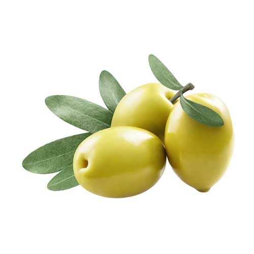 olive oil