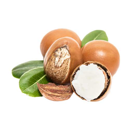 shea butter