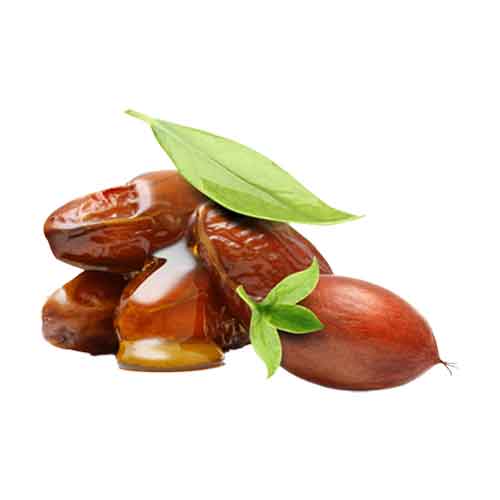 jojoba oil