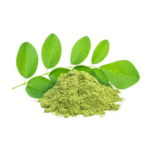 moringa extract