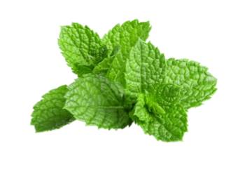 peppermint