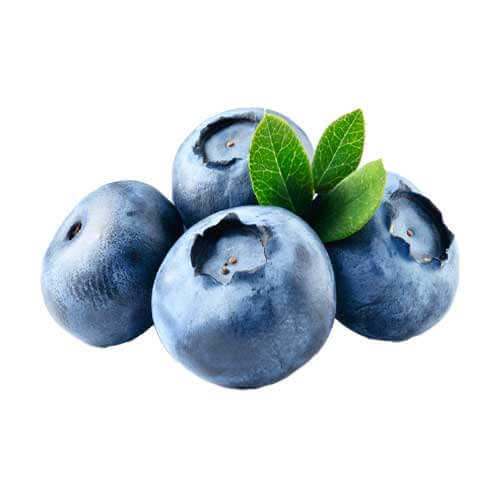 blueberry extract