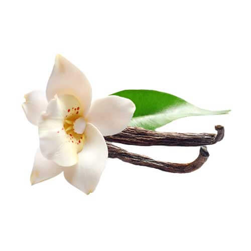 vanilla essential oil